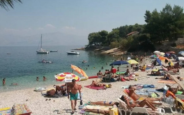 Jela - 50 m From Pebble Beach - A2-marija