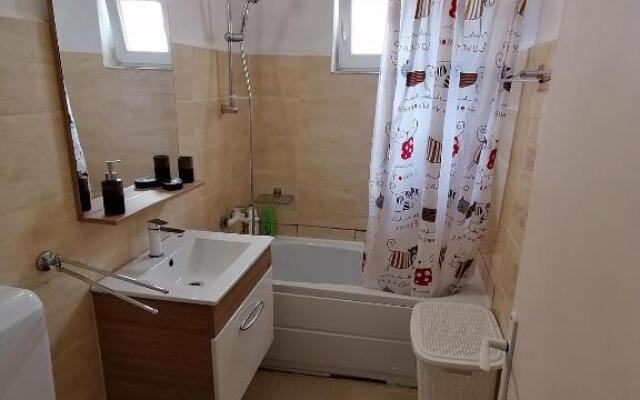 Piata Victoriei 2 Room Apartment