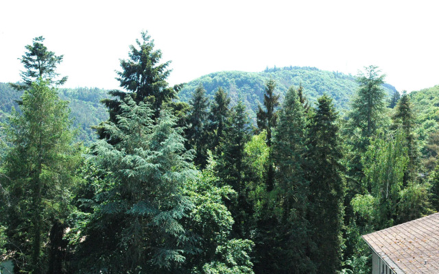 Hotel Engel im Salinental