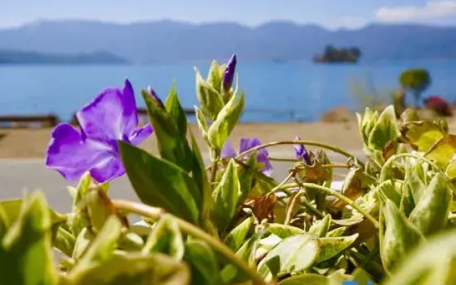 Lugu Lake Cloud - Sea Stacked Courtyard