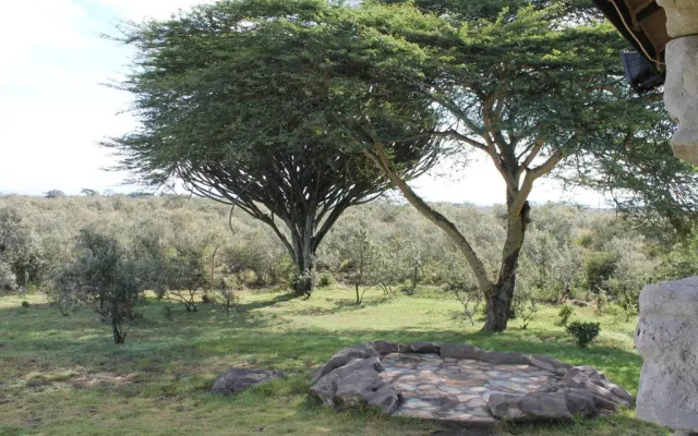 Shwari Cottages
