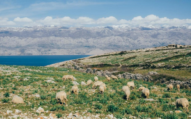 Mala Villa- heated pool since April 10th