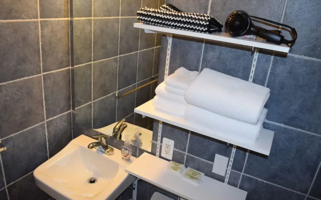 Detroit Vacation Rental