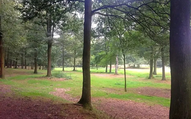 B&B Landgoed Bergerven