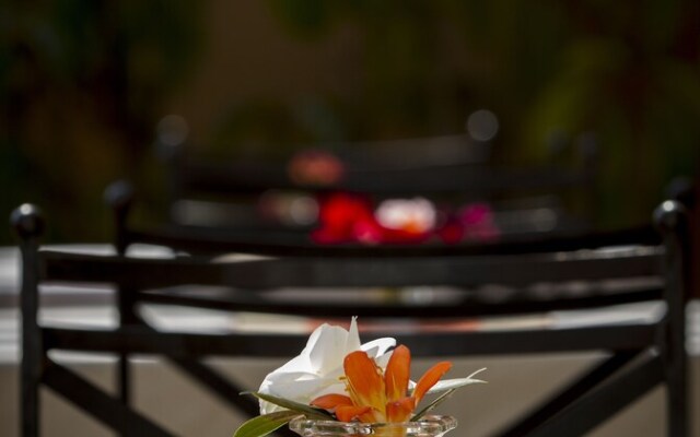 Hotel Ambassador, Chauni
