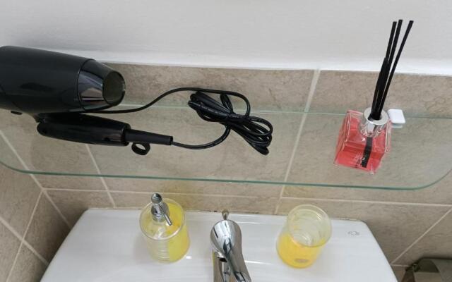 Colosseo Kokedama rooms