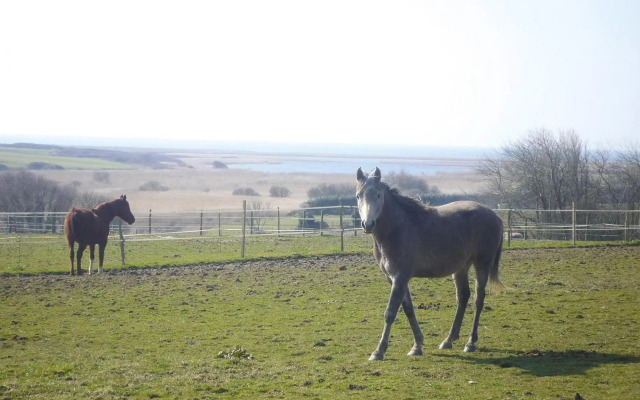 Holiday Home, Plovan