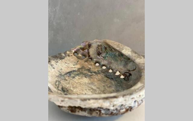 Fördestyle, Stilvolle Wohnung in zentraler Lage