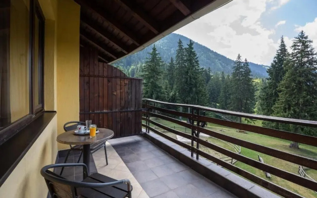 Hotel Casa Viorel