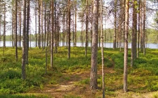 Syv Niemi Kuusamo in Kuusamo