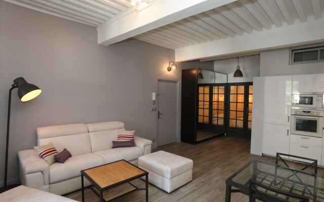 Annecy downtown 55 m2 Apart with big terrace