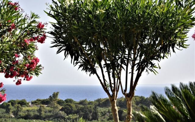 Villa Belvedere Zakynthos