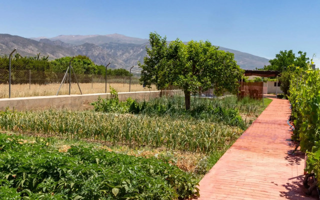 Cortijo La Flor del Valle