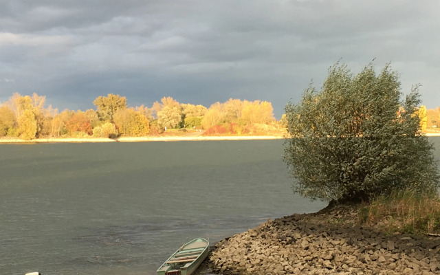 Rhein-Hotel Nierstein