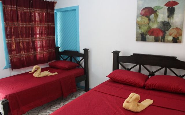 Tortuguero Hostel & Backpackers