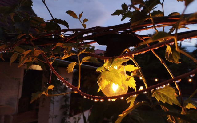 Casa Folks Bed and Breakfast