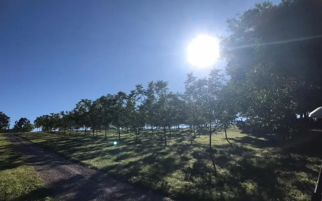 Les Cabanes Perchées du Mas del Bosc