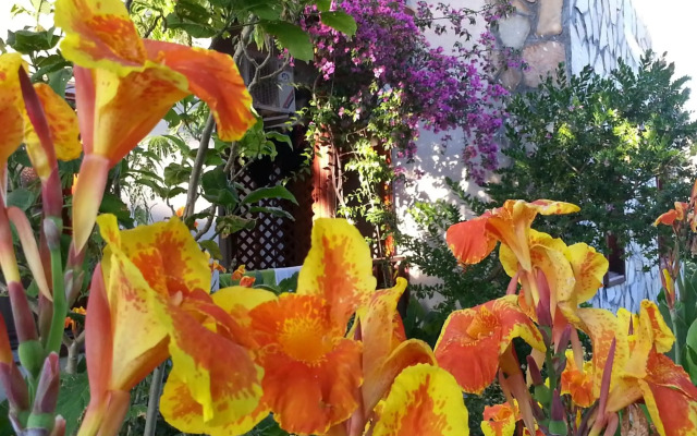 Dalyan Konak Su Otel