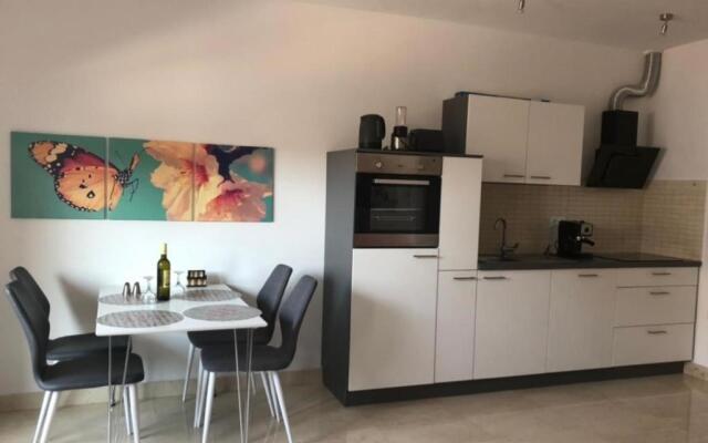 Luxury Apartment Ani with Pool 100m to See