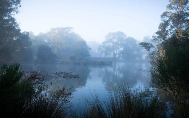 The Burrow At Wombat Bend
