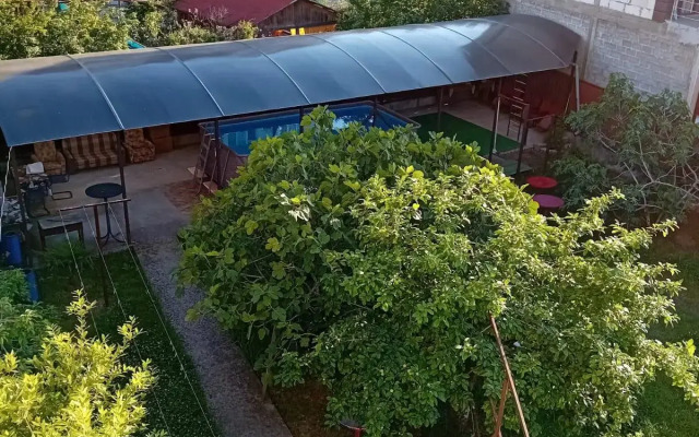 Green courtyard