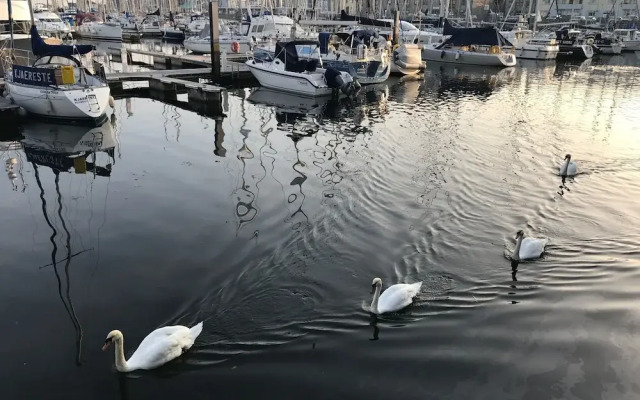 Freeman's Wharf