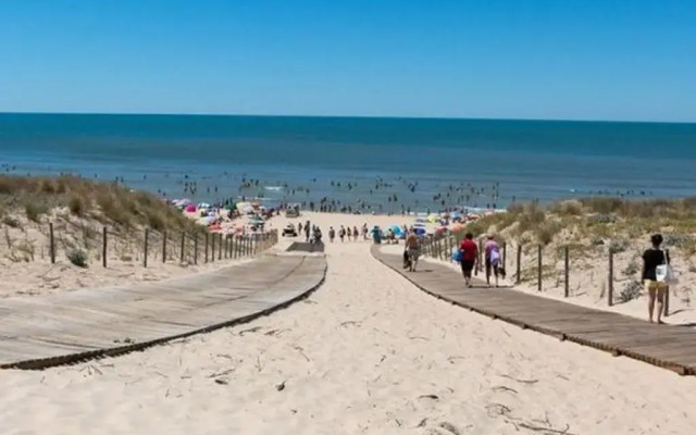 Appartement Arcachon, 2 Pièces, 4 Personnes - Fr-1-374-85