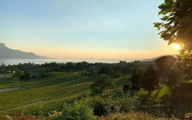 La Vigneronne, Tuin