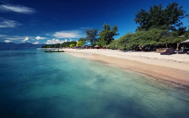 Gili White Bamboo by Secoms