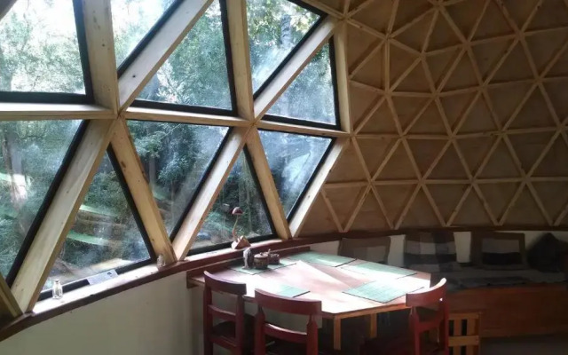 Domo del bosque