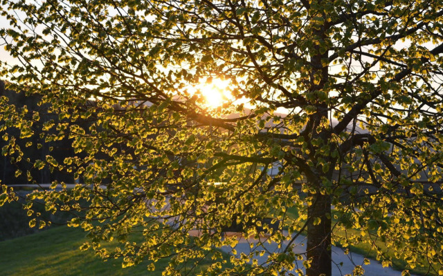 Wellness- und Vitalhotel Böhmhof