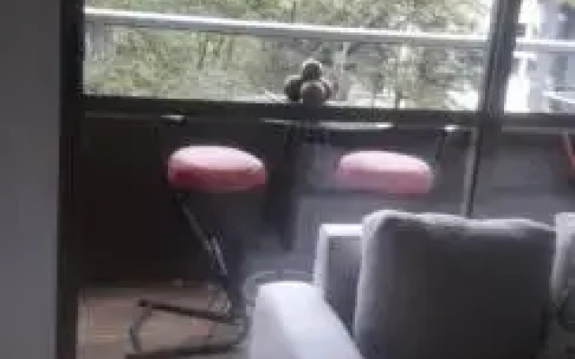 Envigado Apartamentos