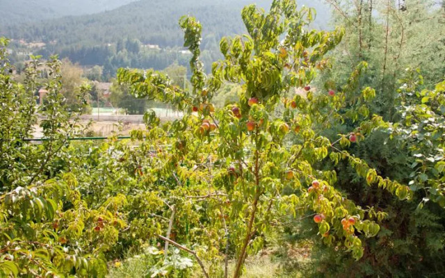 Family Hotel Primavera