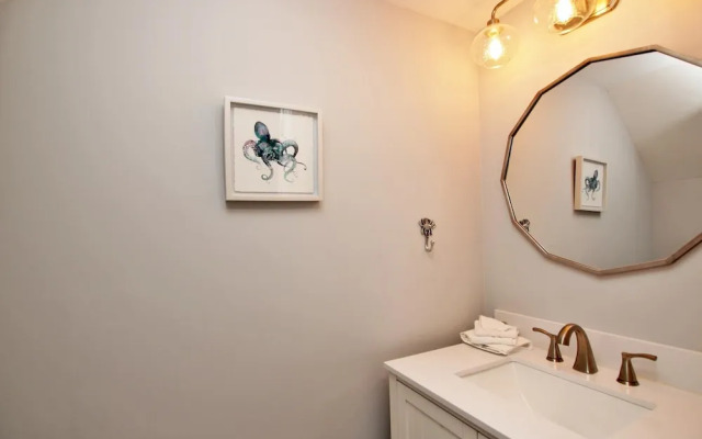 Sand Dollar by Youngs Suncoast