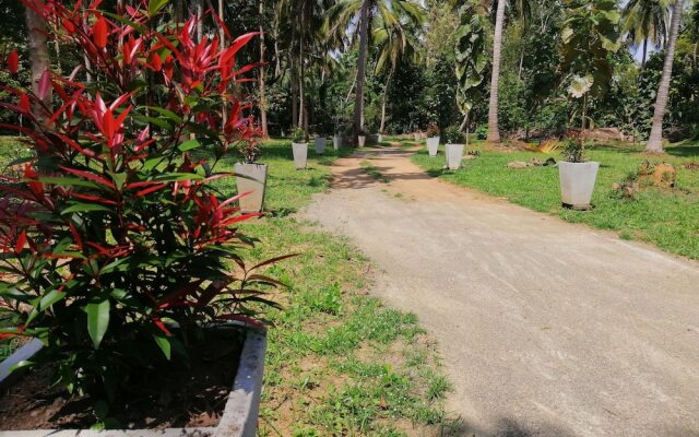 Ama Villa Homestay