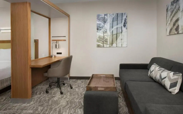 SpringHill Suites Jackson North/Ridgeland