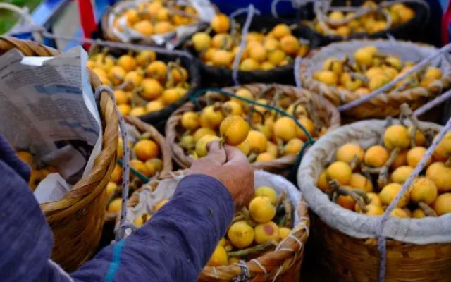 Suzhou Diaohualou B&B (Xishan Diaohualou Branch)