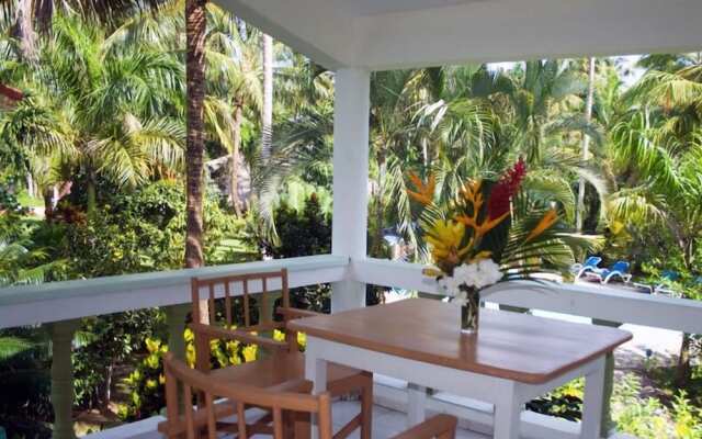 Oasis Tropical