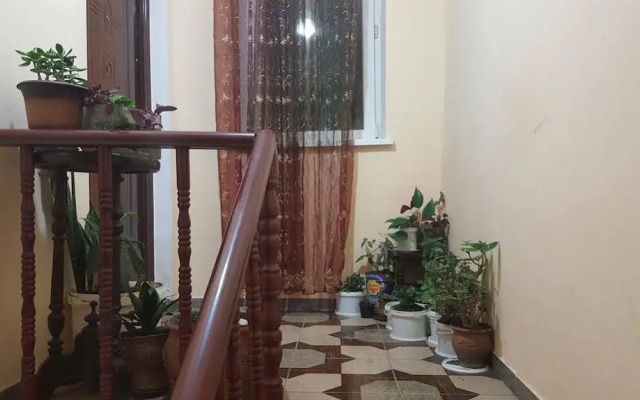 Gis Guest House