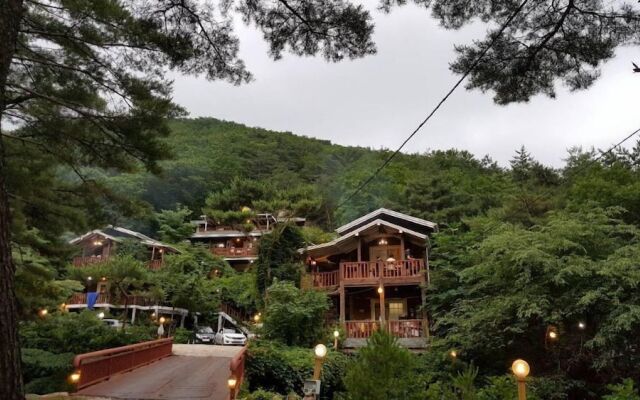 Goesan Namgang Pension