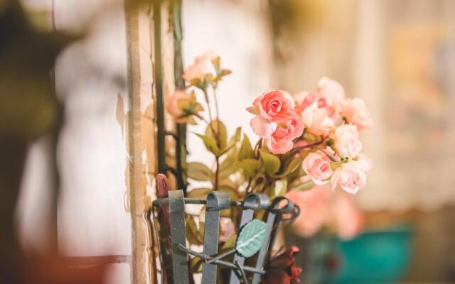 Rose B&B