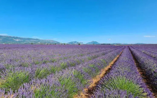 Golf De Digne By Adonis