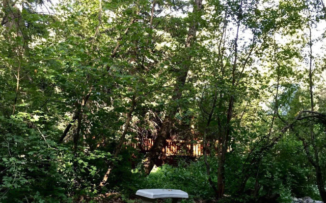 Treehouse by the Stream