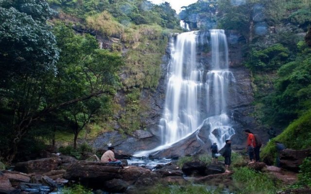Kemmannugundi Hill Resort by Jungle Lodges