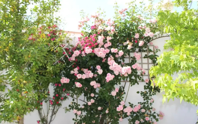 Villa Rural Campillo de Arenas