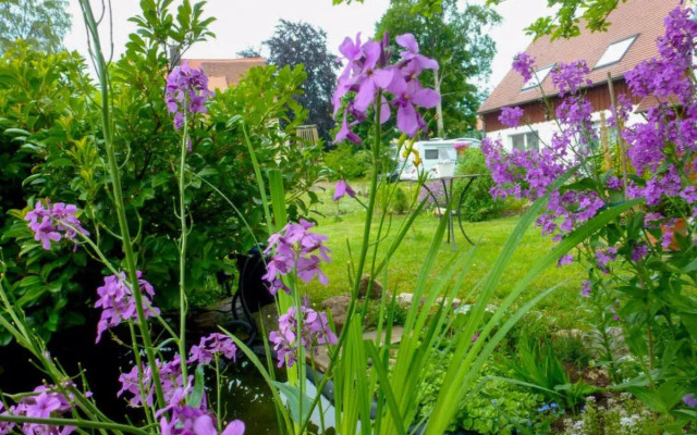 SCHMETTERLINGSGARTEN