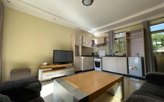 Spacious 1 Bedroom Apartment, Kigali