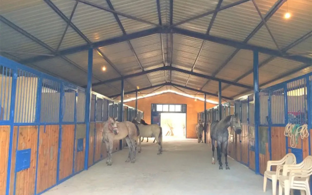 The Ranch - Lodge & Equestrian Center