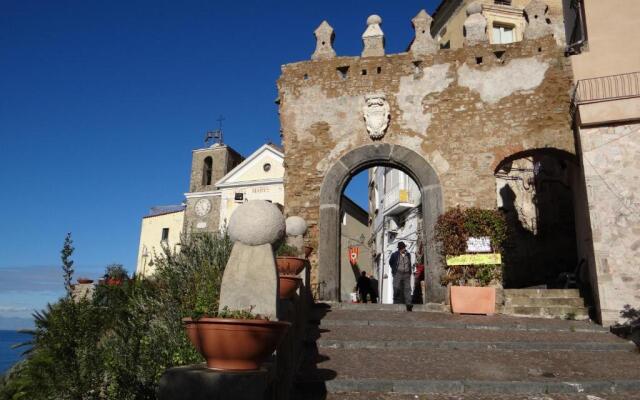 Vecchio Saracino - Carola 1801