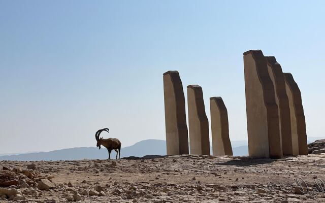 Roxon Desert Arad
